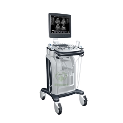 MY-A021 NEUES volldigitales Laufkatzen-B/W-Ultraschalldiagnosesystem Bewegliches Ultraschallgerät