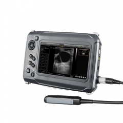MY-A015D-A Gute Qualität Touch Ultraschallsystem für große Tiere Scanning
